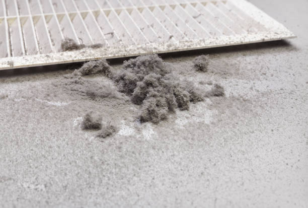 Best Home Air Vent Cleaning  in Santa Nella, CA